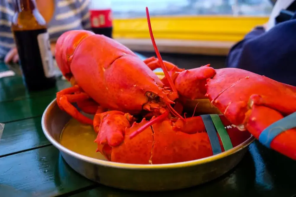 How lobster bake works in Bar Harbor showing steaming lobster, clams, and corn in traditional coastal cooking style