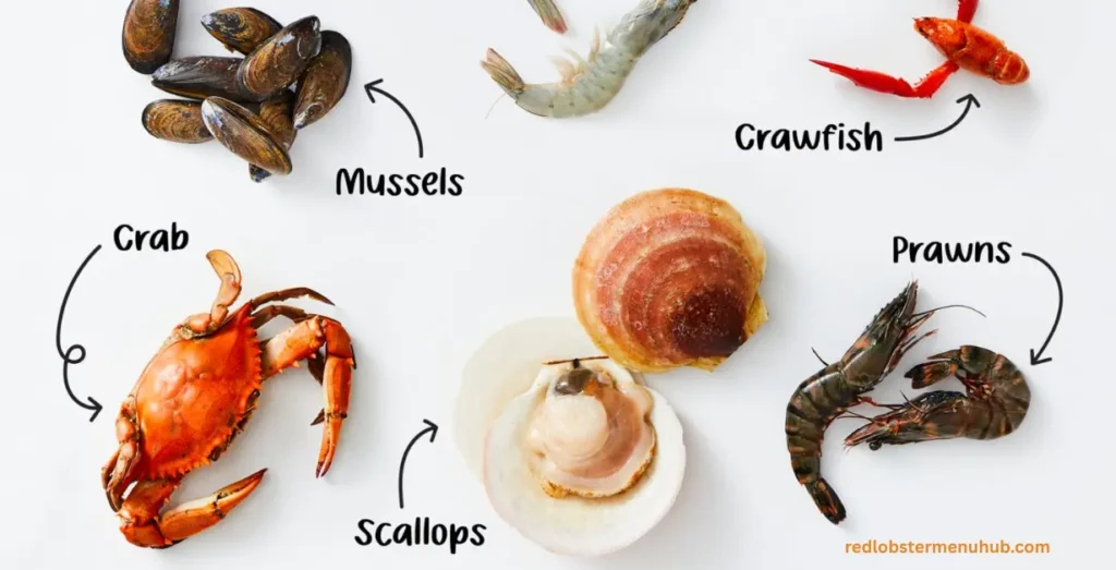 Popular fish seafood varieties including salmon, tuna, cod, halibut, trout, and sea bass